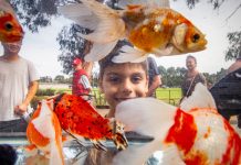 Crowds enjoy Berwick market