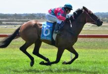 Wolf whistles to a Woolamai win