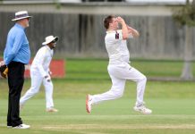 Dingoes surge to grand final