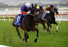 They’re off and racing