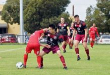 Strikers’ amazing run ends