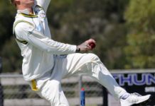 Cougars and Gulls bow out