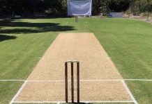 A homegrown field of dreams