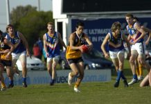 Stars aplenty in south-east