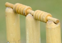 Cricket’s future direction