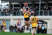 Young makes AFL debut