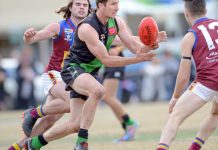 The best of the best