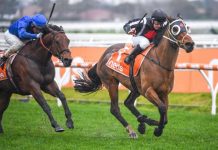 Jungle drums are beating