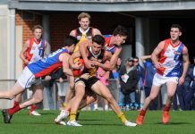 VFL season called off, uncertainty surrounds NAB League