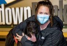 Shima Shine is blistering