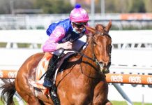 Their little horse that can