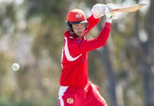 The Swans are building