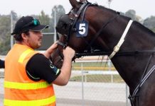 First race win for local trots trainer