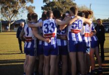 Paving the way for the future