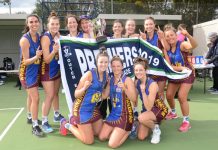 Lions pushing forward together