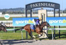 Weathering the storm