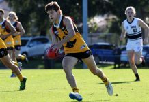 Stingrays looking to impress