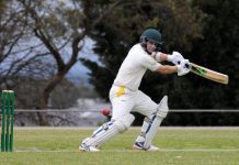 Cougars set to claw back