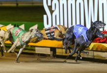 The world’s greatest race