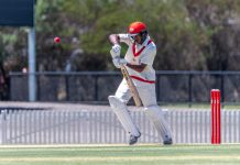 Premier Cricket locked in for November start