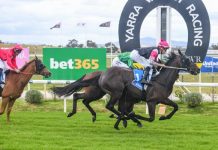 Crossing a 151-1 winner off the bucket list