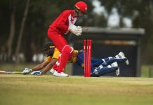 Locals to shine at representative level