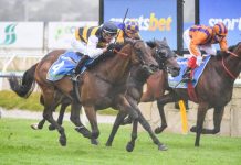 Attorney lays down the law