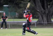 The charge of these Bulls