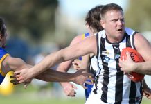 Bulldogs snarl into a new era