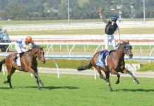 Racing back on track at Pakenham