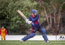 The Forsyth brothers shine