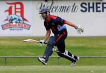 Nanopoulos stars, but Panthers fall short