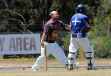 Panthers continue stunning form