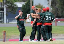 Seagulls thrill in brilliant win