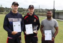 Wild Dogs will fight another day