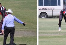 Wild Dogs up for the fight