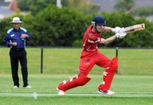 These Cobras are firing