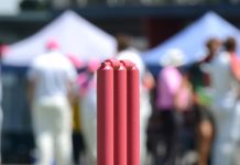 Heatherbrae to turn pink for cancer