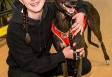 Thompson eyes Cranbourne Cup