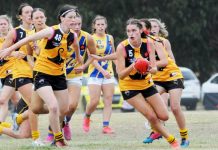 Rays impress on the road