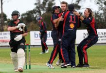 Demons fire at the nest