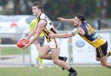 Tigers gearing up for the season