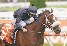 Winners far and wide