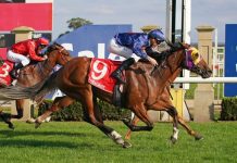 Hustler delights Harnett