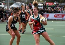 Who can stop the Seagulls?