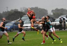 Brave Goon down Bulldogs