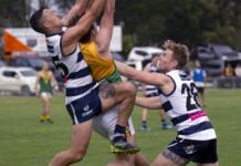 Roughead leads Sea Eagles to victory