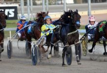 Perfect Cup win at Warragul