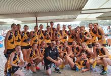 Frankie: The Jack of all trades