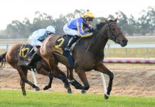 It’s all Full of Theories